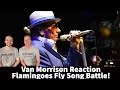 Van Morrison Reaction - Flamingoes Fly Song Battle - 2 Different Versions!