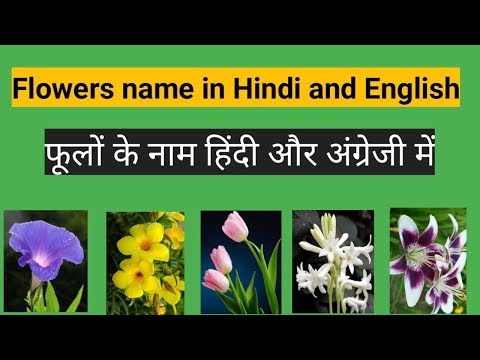 Flowers Name with pictures and correct pronunciation