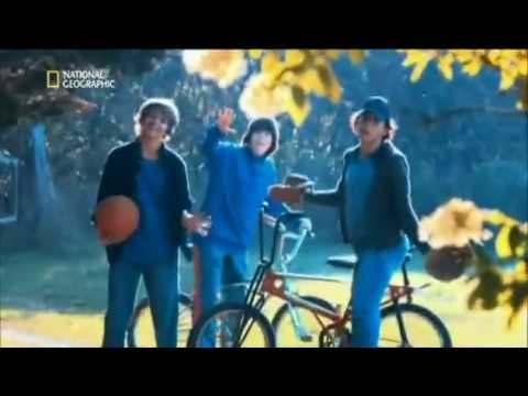 Mayday - Alarm im Cockpit - Auf Kurs ins Unwetter - [Staffel 5 Folge 5]