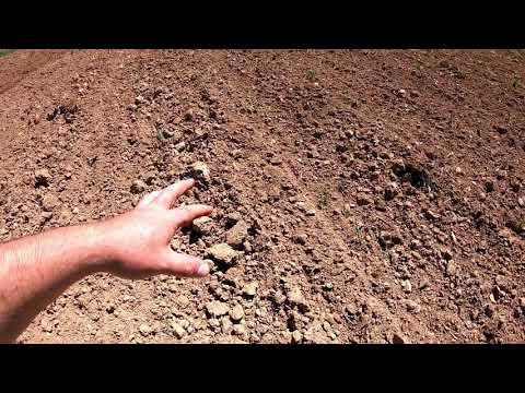 Getting Pre-plant Fertilizer In The Ground