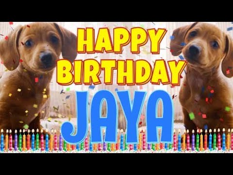 Happy Birthday Jaya! ( Funny Talking Dogs ) What Is Free On My Birthday