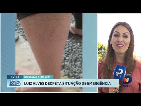 Luiz Alves em Alerta: Emergência devido à Infestação de Maruim