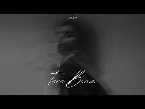 Tere Bina - Dtonix