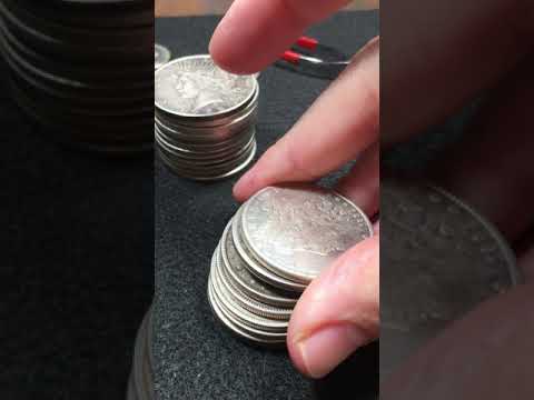 eBay Morgan Dollar Roll Reveal Pt3
