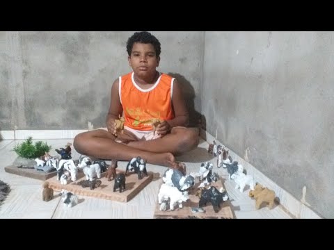 Ele foi o melhor artistas plastico 2025 de Rio Real Bahia .