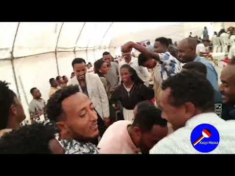 Firoomsaa Abarraa Live Stage Performance