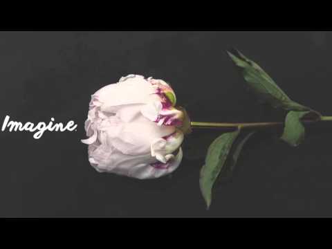 Chainsmokers - Roses feat. Rozes (/ˈlo͞osid/ Remix)
