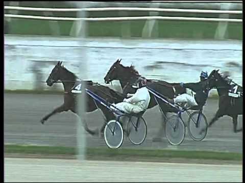 Trotto 26/11/2015 - 1° corsa