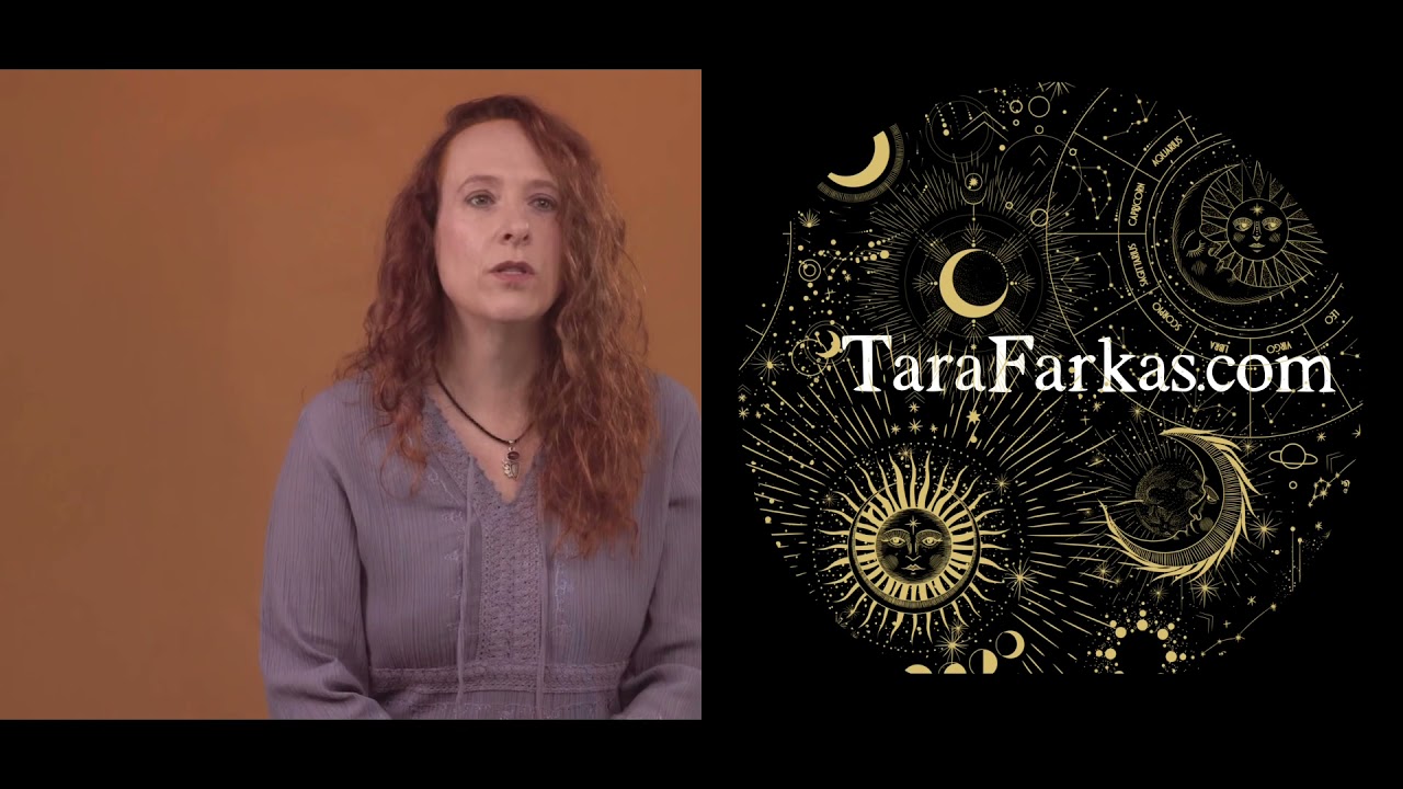 Promotional video thumbnail 1 for Tara Farkas