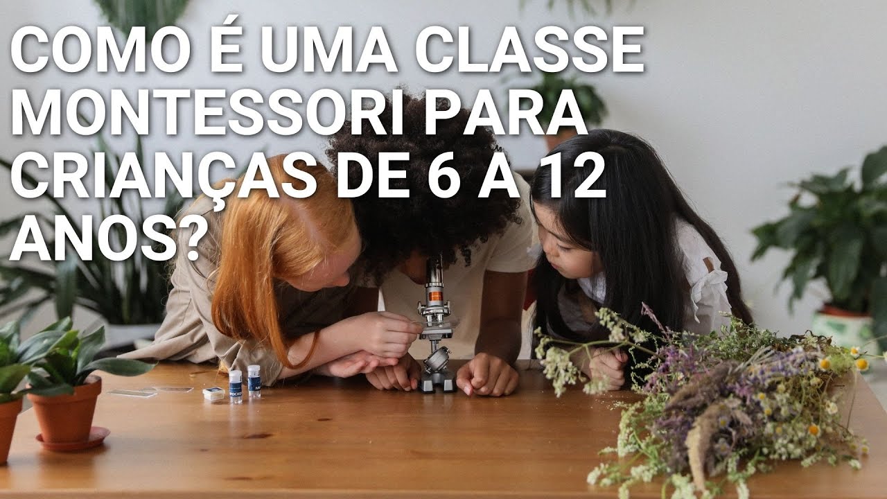 A classe Montessori para crianças de 6 à 12 anos