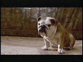 Reupload Opening To Ice Age 2 The Meltdown 2006 UK VHS