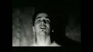 Dogwood - Feel The Burn  - HD