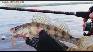 Удилище maximus black widow 24l 3-15g