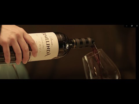 Na Noite da Natal, brinde com Ermelinda Freitas