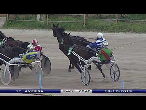Aversa trotto 18 Dicembre 2019 - 1° Corsa
