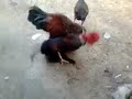 Dunia Imebadilika
