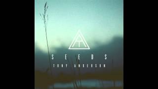 Tony Anderson - Seeds