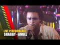 Shaggy - Angel | Live at TMF Awards | The Music Factory