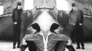 Skinny Puppy - SaLvo