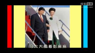 The song basically talks about how brave it is of Xi to fight corruption cases because he has Peng's support. The New York Times translated the full lyrics.