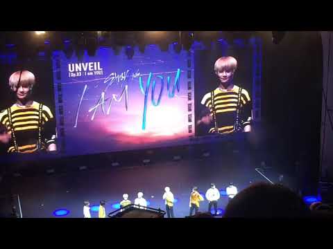 Aegyo/weirdos | Stray Kids Concert London 2019
