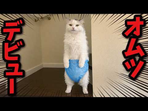 Since he was dropping that stuff every day, I tried putting him in a diaper, and here's what happ...