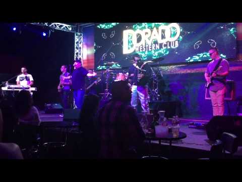 Jay Perez and The Band live in Houston