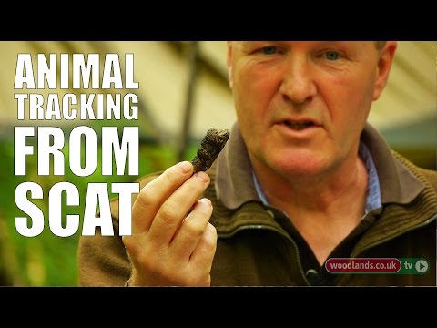 Tracking from Scat | Woodcraft School