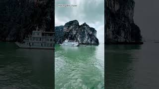 #vietnam #cruiseday #cruise #youtubeshorts #travel #travelvlog