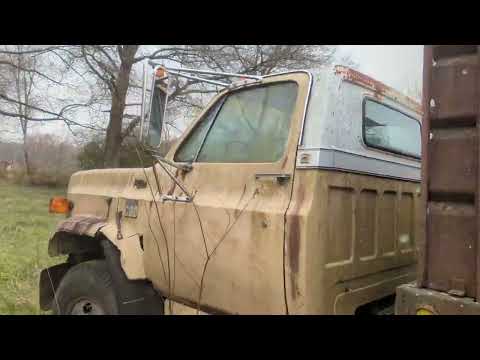 November 16, 2022 the great cow heist