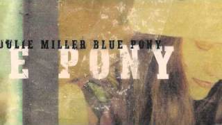 Face Of Appalachia - Julie Miller