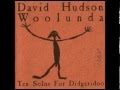 David Hudson - Earthbounding