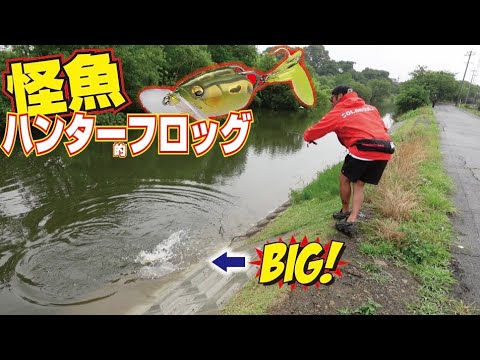 【メガバス】2021最新怪魚フロッグでバスを釣る!!【BATRA-X】