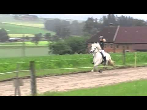 Frami Weistrach 2011