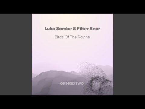Birds of the Ravine (Luka Sambe Remix)