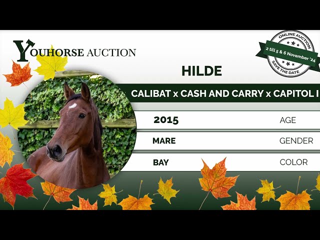 Hilde
