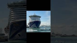 Carnival Mardi Gras Horn Scares Us Again! 😂