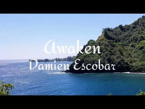 Awaken - Damien Escobar