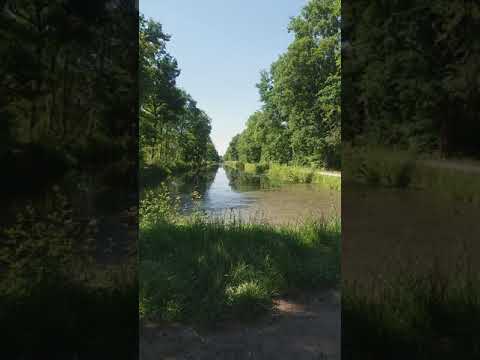 Dacă două mâini rebele de Costache Ioanid