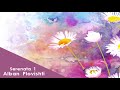 Alban Plovishti Serenata 1 Official Audio