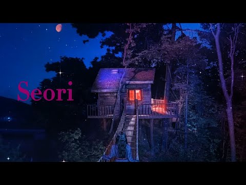 [𝐏𝐥𝐚𝐲𝐥𝐢𝐬𝐭] 서리 노래모음ㅣSeori Playlist