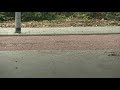 Ongelukken door vernieuwd fietspad met grind: "Hartstikke gevaarlijk"