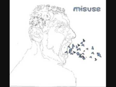 Misuse - While It Lasts