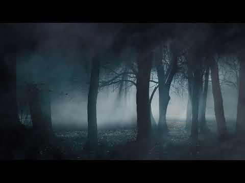 Sonidos de un bosque encantado Visit