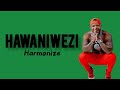 Harmonize - Hawaniwezi (Lyrics)