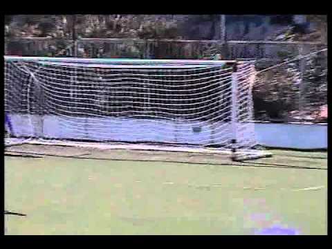 SABADOGOL 2011. JUVENILES A. 5ta. División. ALL BOYS - PLATENSE. 6-8-2011.