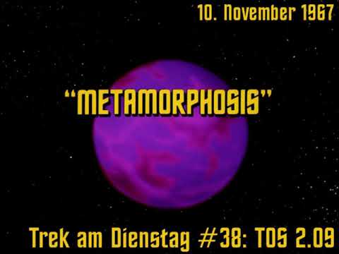 Trek am Dienstag #38: Metamorphosis (TOS 2.09)/Metamorphose - der Star-Trek-Podcast