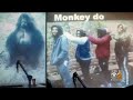 Tensions Flare At School Board Over Teacher's 'Monkey See, Monkey Do' Slideshow