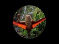 Mellow Lofi Beats Vol Lll 432 Hz