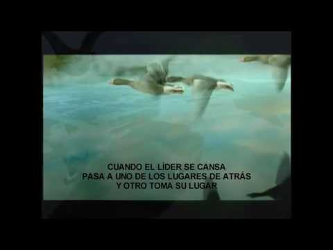 EL VUELO DE LOS GANSOS